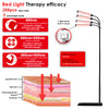 Red Light Therapy Lamp,Standing 4-Head,Black